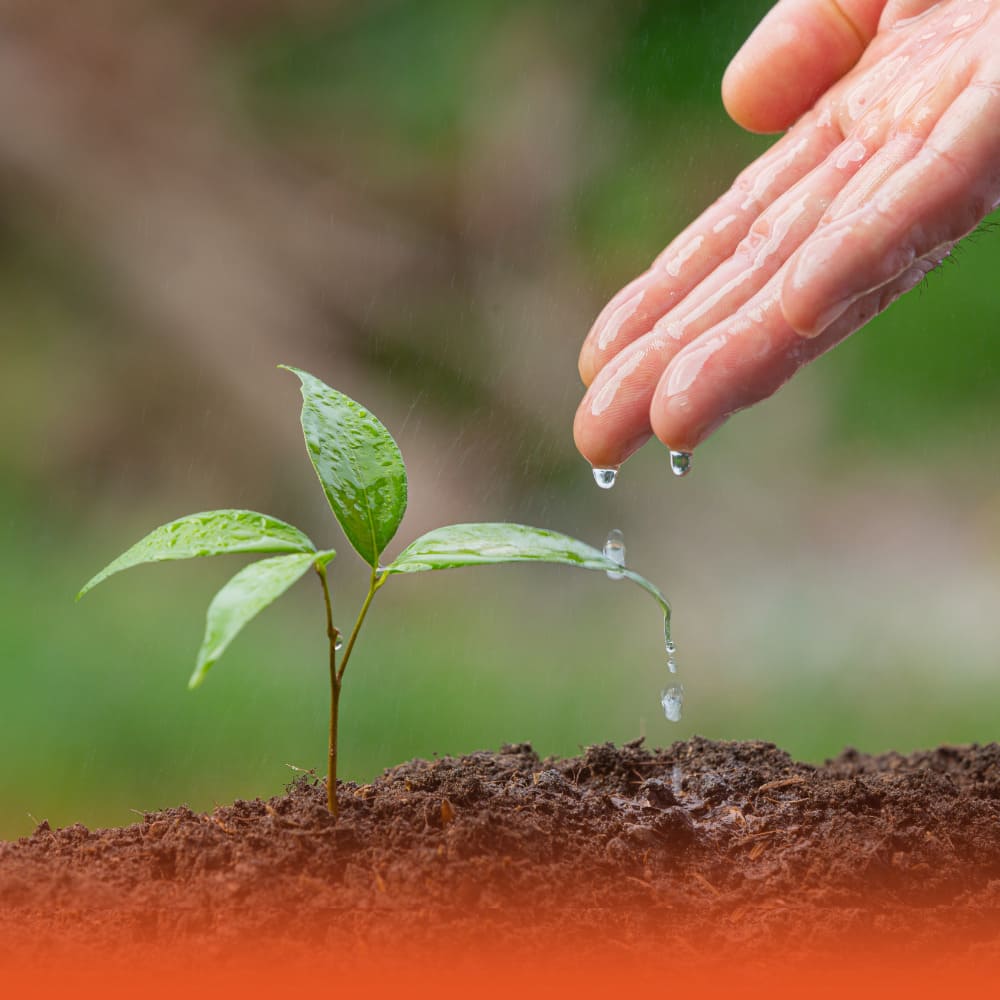 Imagen Banner Gestión Ambiental GEI