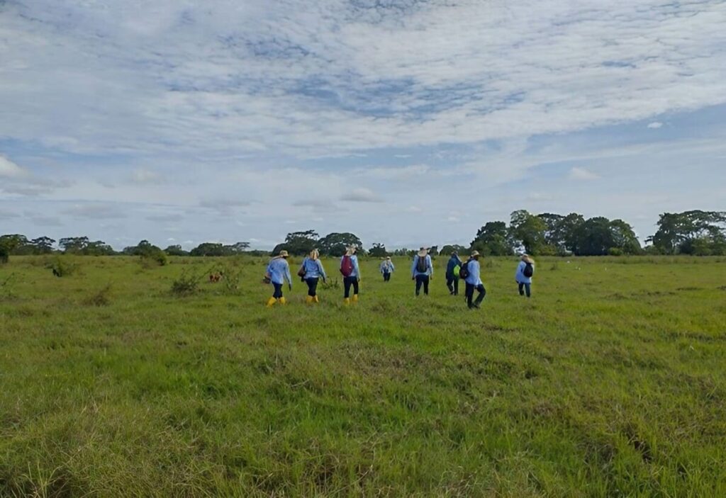 Servicio Experto en consulta previa con comunidades etnicas